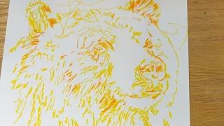 Drawing a Bear with Posca Markers! 🐻🔥💪