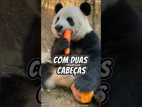 ANIMAIS QUE NASCERAM COM DUAS CABEÇAS #shorts
