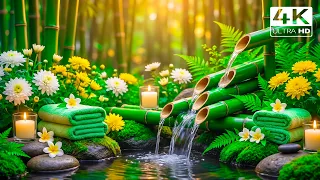 Relaxation Music+Bamboo Water Fountain + Healing Piano 🌿 Sleep Music, Meditation and Nature Sounds