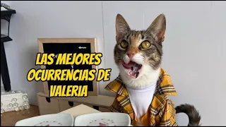 Las mejores ocurrencias de Valeria pt1