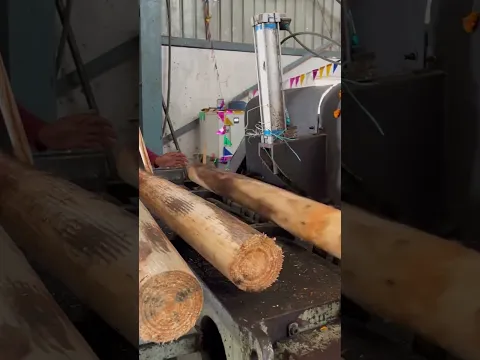 क्या PLY WOOD खराब लकड़ी का बनता है | #shorts