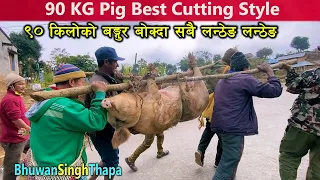 90 KG Pig How To Clean And Cut / Best Pork Cutting Style In Village Of Nepal / Bhuwan Singh Thapa