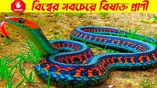 বিশ্বের সব থেকে হিংস্র ও বিষাক্ত ৫ টি প্রাণী৷ The 5 most violent and poisonous animals in the world.