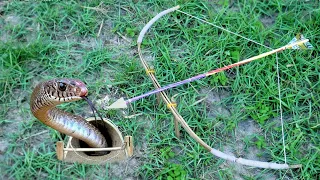 Snake  - Awesome Big Snake Trap Using 3 Ways Survival Snare Trap
