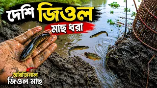 গ্রাম বাংলার দেশী অরজিনাল জিওল মাছ অনেক বড় গর সেছার পরে এই মাছগুলো পেলাম 