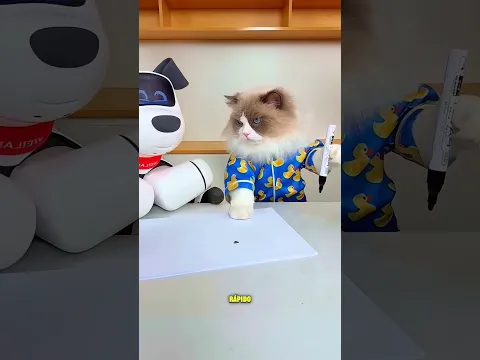 Tem uma joaninha aqui com a gente...