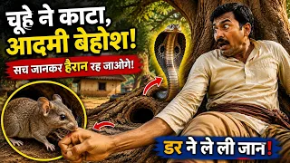 चूहे ने काटा फिर भी नहीं मरा, सांप को देखते ही हुआ बेहोश! 😱🐍#HindiStory #MoralStory #HindiKahani