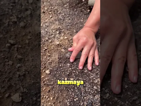 Bu Kız, Yerin Altında Bir Hazine Buldu 🤯