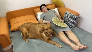我要休息了，别闹了亲爱的 #夫妻 #记录真实生活 #狗狗 #怀孕
