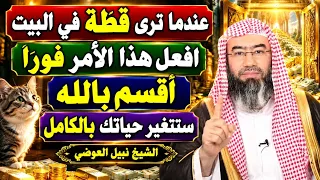 الشيخ نبيل العوضي | إذا دخلت القطة بيتك فلا تطردها! افعل هذا فورًا