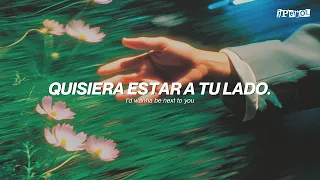 Lady Gaga & Bruno Mars - Die With A Smile (Español + Lyrics) | video musical