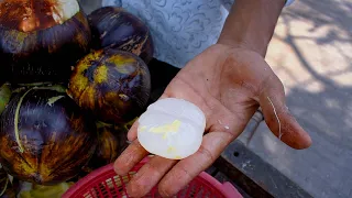 Most MYSTERIOUS Indian Fruit !! Indian Street Food