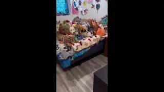 Funny video