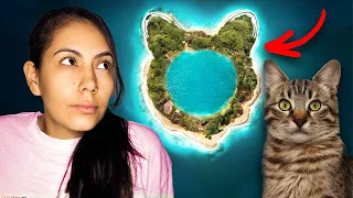La Increíble Isla Japonesa de GATOS 🐱 ¡NO HAY GENTE!