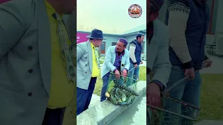 Eshshaklar yaxshilikka yetaklar🤣🤣🙈
