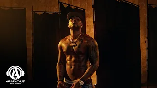 Alterao - Musicologo The Libro x Yaisel LM (Video Oficial)