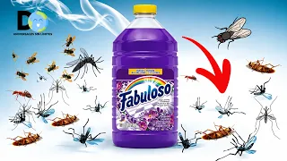 Pon Esto 1 hora en tu casa, Ya no verás Mosquitos Moscas o Cucarachas | Insecticida Natural