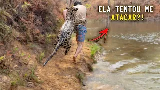 ONÇA-PINTADA NADANDO: tentei ensinar e olha o que aconteceu