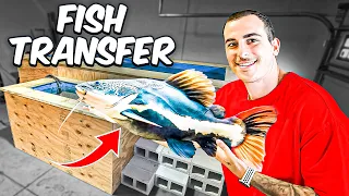 Transferring ALL My EXOTIC FISH into NEW 3,000G POND!!