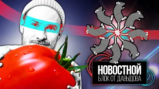 ОБРАТНЫЙ СЕКСИЗМ НА TWITCH || РУССКИЙ TIKTOK || Помидоры-вакцины || Живой крысиный король