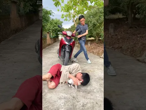 dangerous kitty 😱🙏❤️❤️(nguy hiểm mèo con)#catlover #cat#shorts
