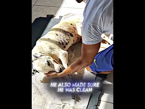 This Kind Man Did This For His Dog😭