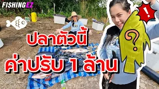 ปลาตัวนี้ ค่าปรับ 1 ล้านบาท !!!  FISHINGEZ วันที่ 12-11-64
