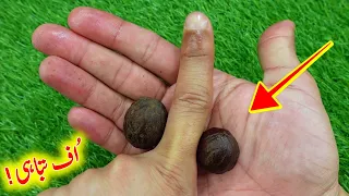 4 Health Benefits Of Cloves For Skin, Hair & Weight Loss
