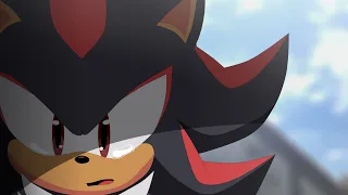 Shadow y el pasado