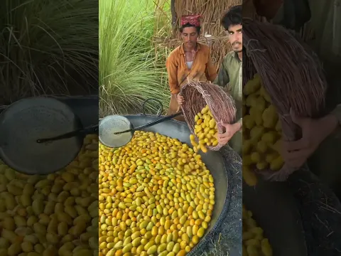 How dates are made in the factory ? 🤔😱 #making #shorts #dates #factory