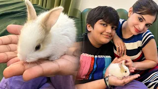 Rabbit Aaya Aaj 😍 #minizoo
