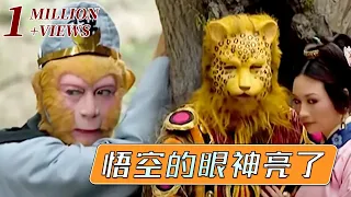 师傅被妖怪吃了？八戒要散伙 悟空去找金钱豹“报仇”《西游记续集》Journey to the West sequel【CCTV电视剧】