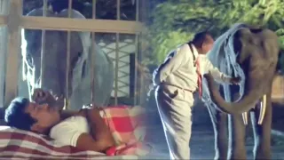 Rajendra Prasad & Kota Srinivasa Rao Super Hit Comedy Movie Interesting Scene | Shalimar Movies