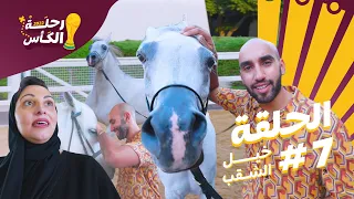 الحلقة السابعة | خيول الشقب 🐎
