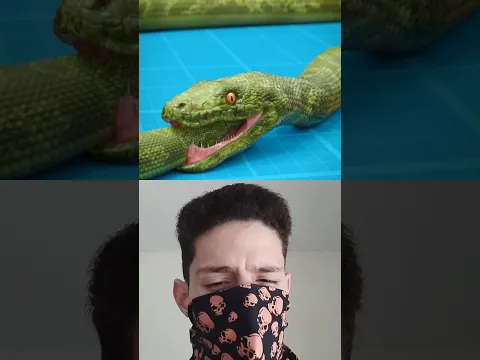 Es posible que una serpiente se trague su cola? 🐍😱 #shorts #parati #viral #short