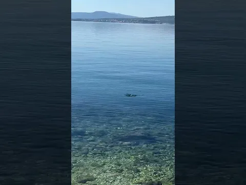 Nema kupanja ovog ljeta 😱😱😱