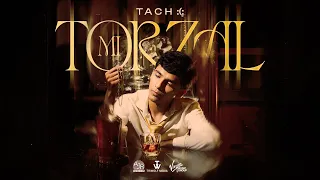 🎥TACH - Mi Torzal (Video Oficial) 4K