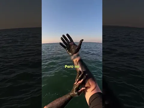 NUNCA TOQUES UN CALAMAR