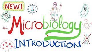 An Introduction to Microbiology 🧫