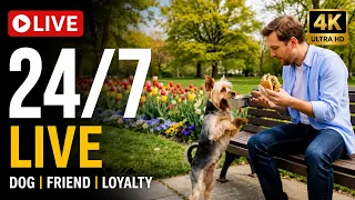 Nothing Matters More Than Loyalty ❤️ | Emotional Story About Trust, Family & True Friendship LIVE