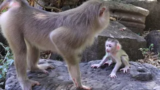 Mum Flora Teaching and Cuddle Baby Fanta Full Of Loves