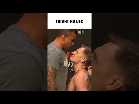 Волков vs Вердум + 🪑