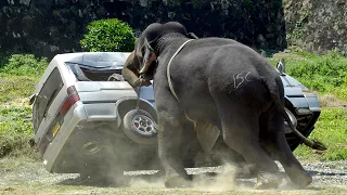 TOTAL IDIOTS AT WORK #99