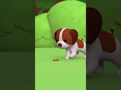 THE ANTS ARE STEALING MY FOOD! 🐜 | Leo the Wildlife Ranger | #shorts #animals #fun