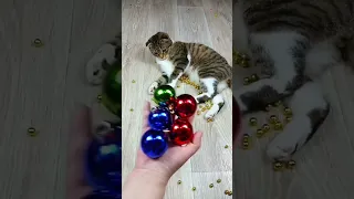 Cat Barsik Beads 📿🌈 Marbles 🔴 Reverse video