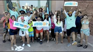 Así Viven los Viajeros su Experiencia en Crucero | Testimonios Reales