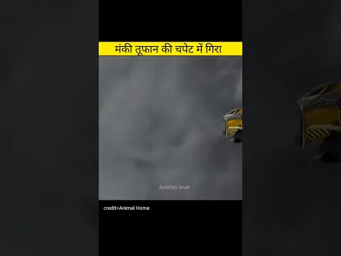 मंकी तूफान में गिरा | Amazing videos in hindi #shorts