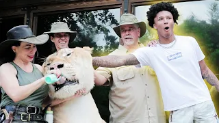 MIKEY WILLIAMS MEETS A 900LBS LIGER!?!