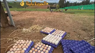 Fadwa live | فدوى لايف est en direct !