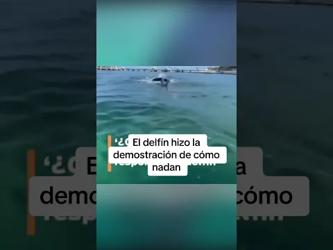 Esta es la forma en que nadan las sirenas #shorts